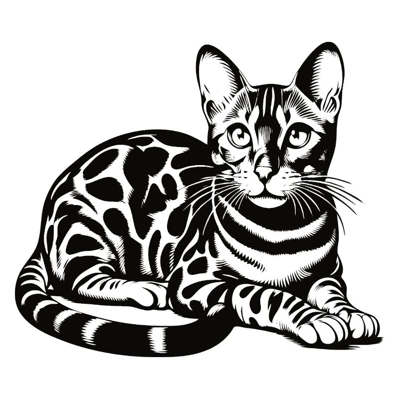 Conception de chat Bengal - sauvage, belle et unique
