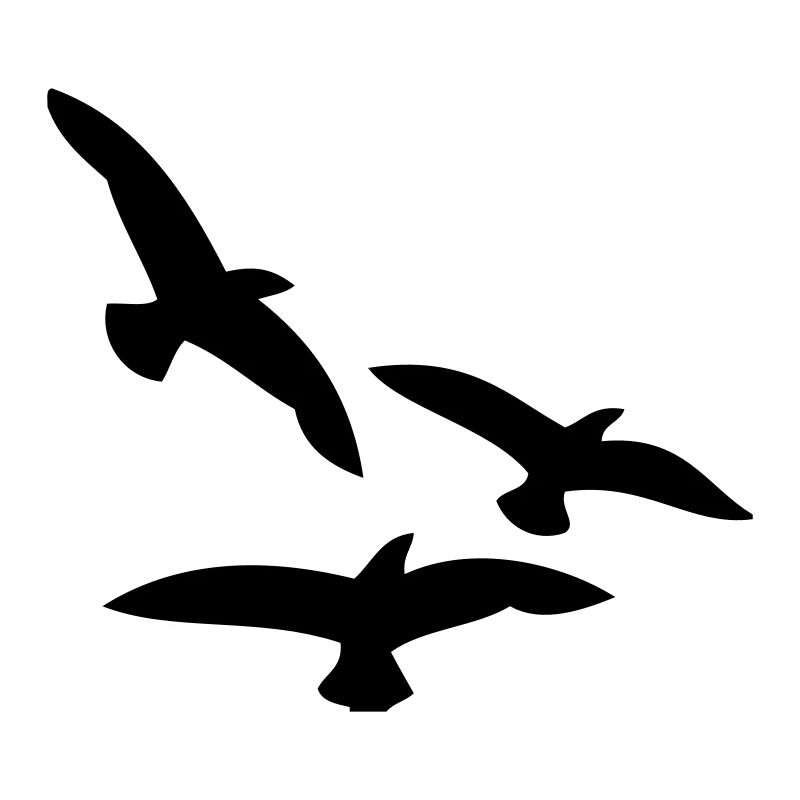 Vögel