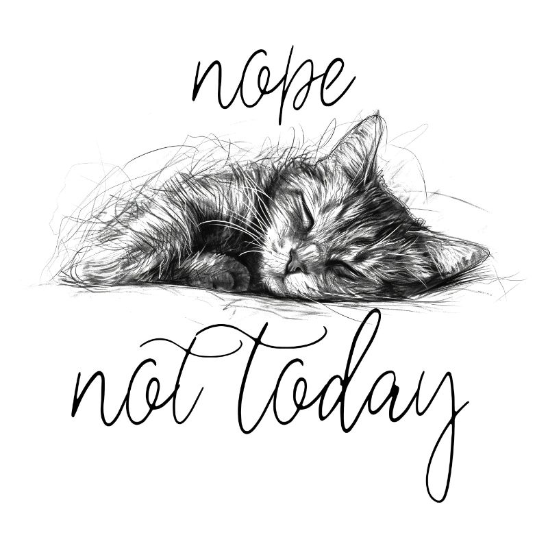 Sleeping kitten sketch style not today
