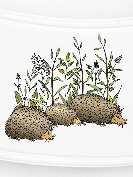 Hedgehogs