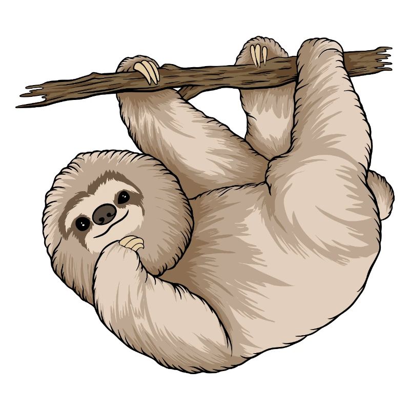 Charming Sloth Hugging Branch 