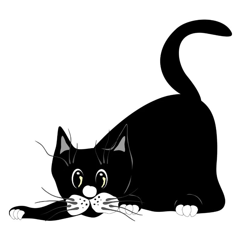 Katze