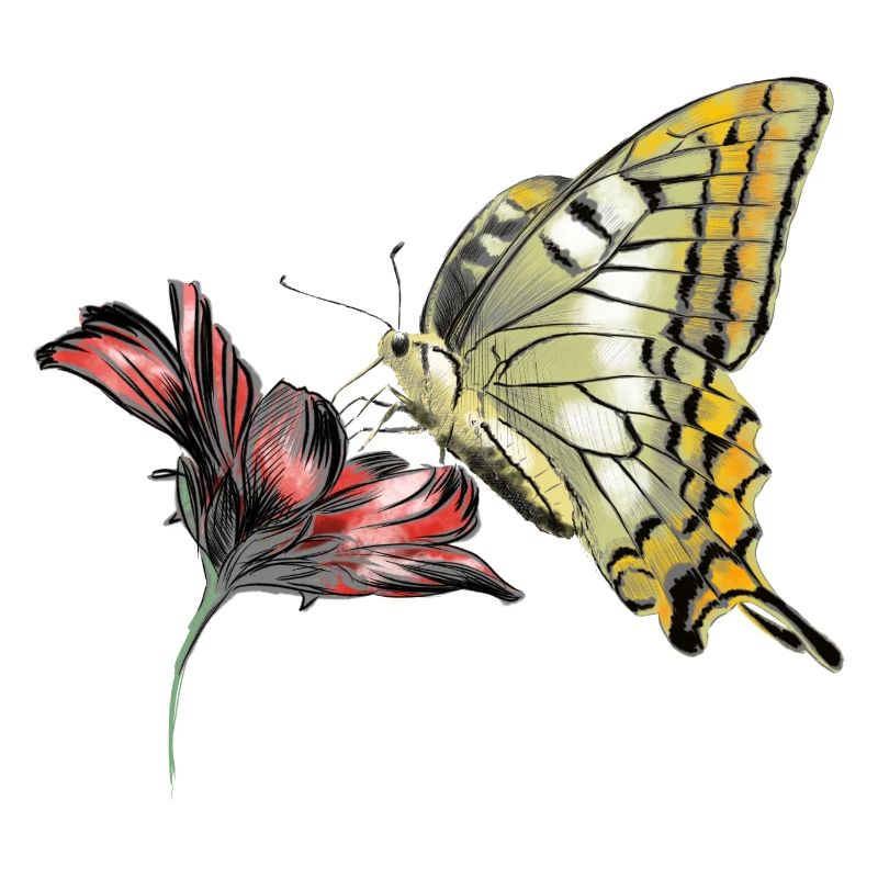 Papillon en fleurs