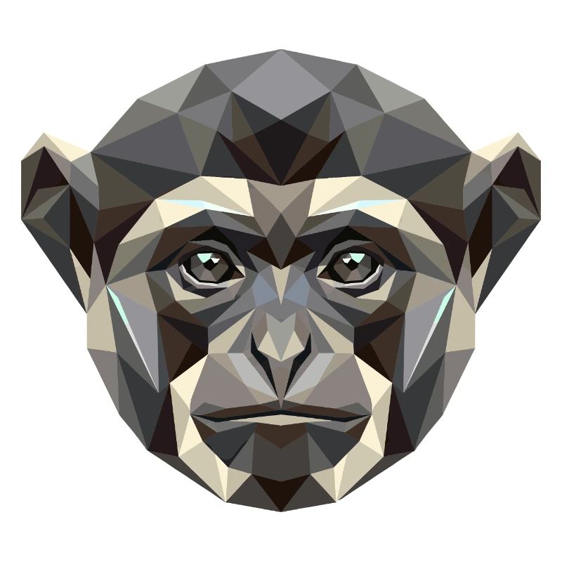 Gibbon Singe Mainblanche Gibbon Singe Lar mignon