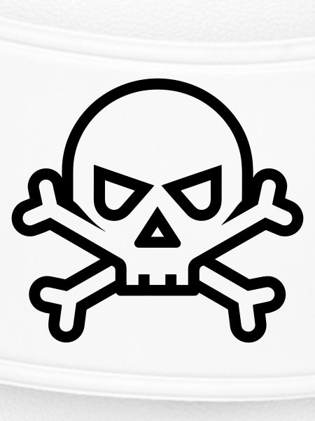 Pirate Skull