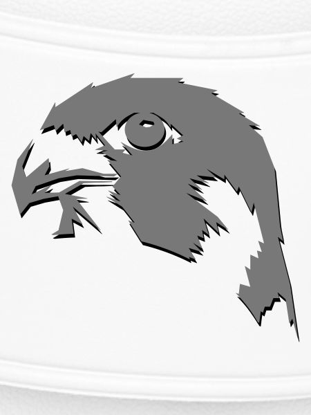 Falcon
