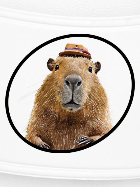 Cabybara