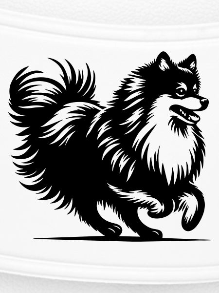 Spitz