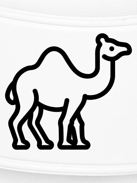Kamel