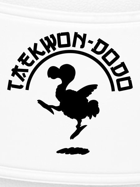 Taekwondodo