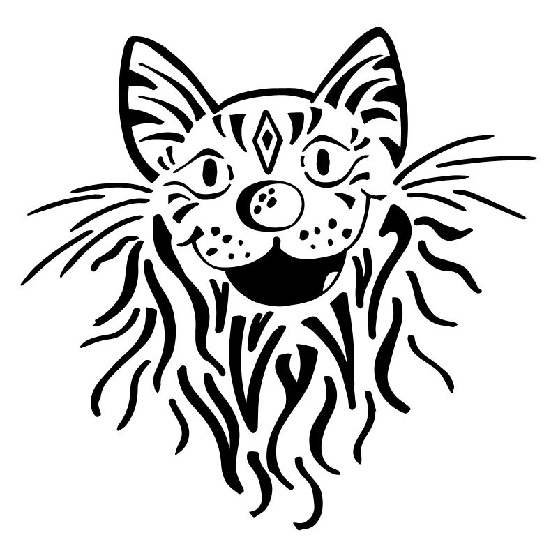 Tabby cat head - cat - tiger - tomcat