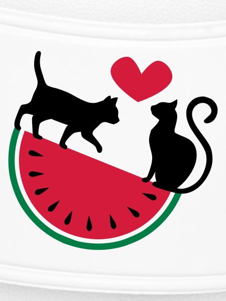 Melon Cat Love