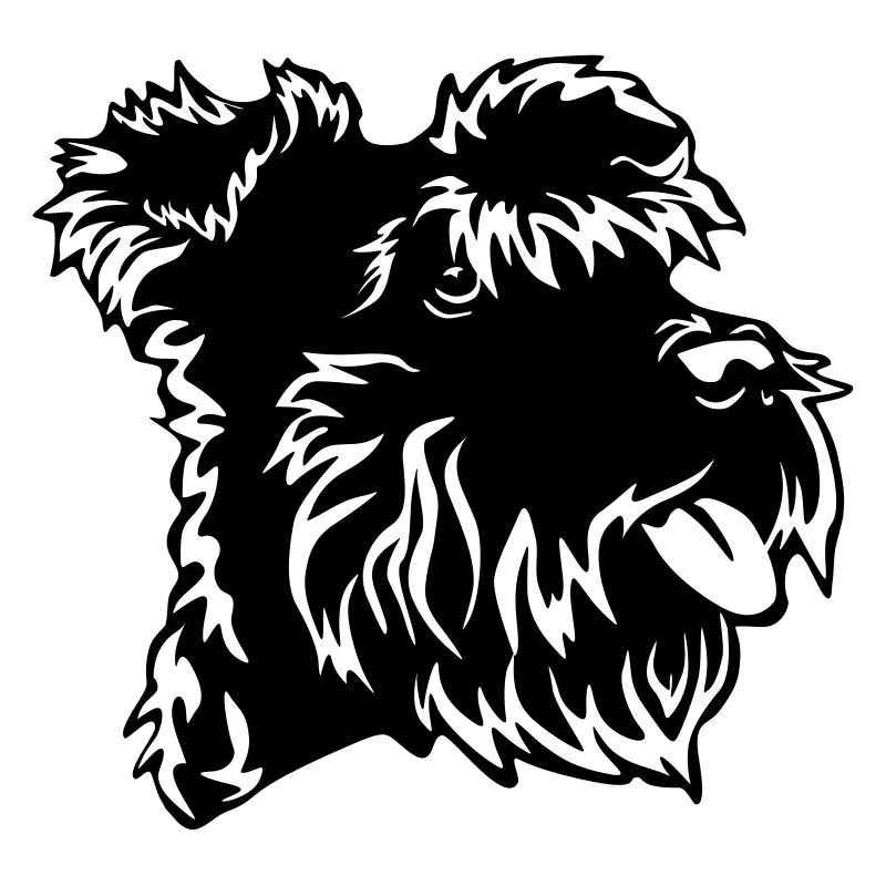 Zwergschnauzer Kopf