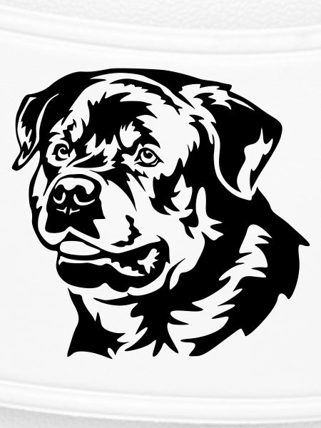 Rottweiler Head