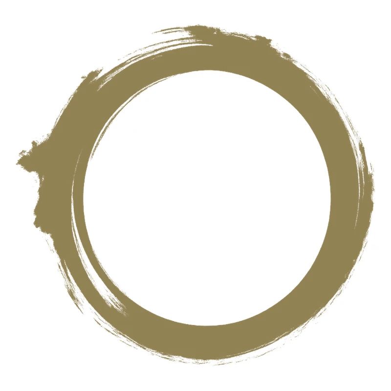 Black Hole Universe Silhouette Minimal Physics