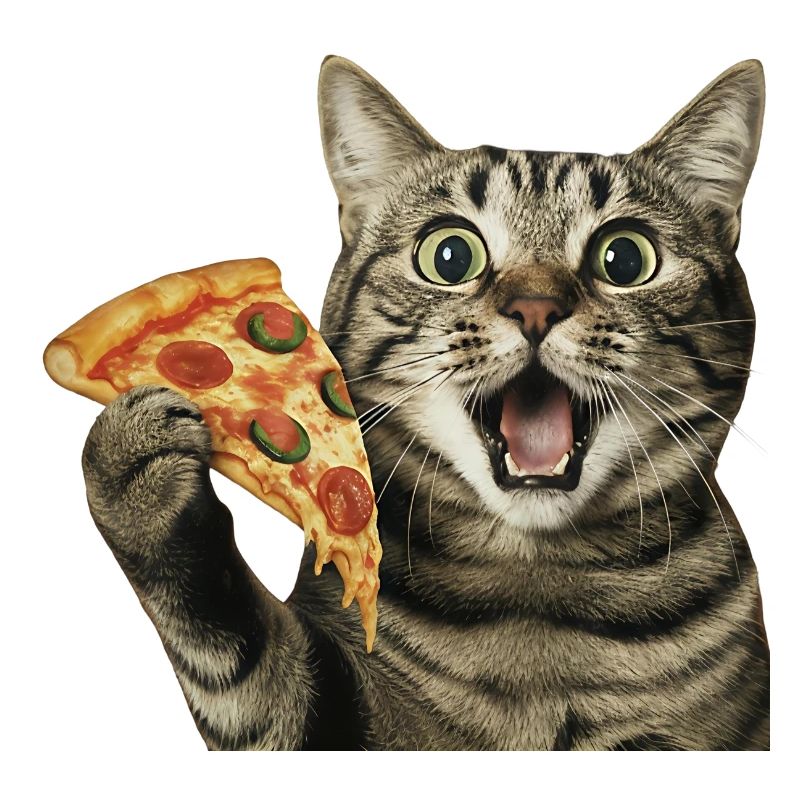 Pizza-Katze