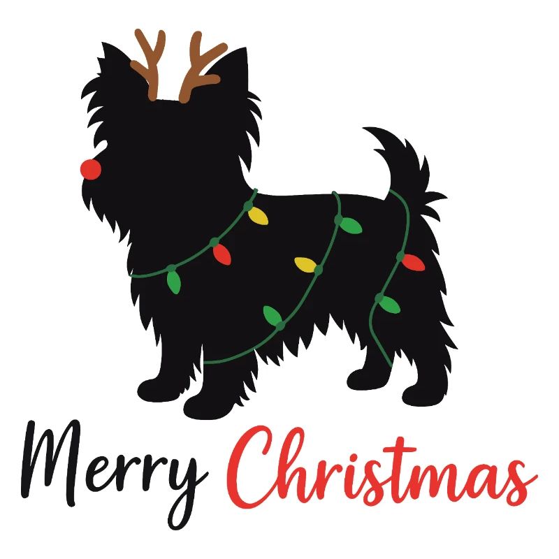 Yorkshire Terrier Weihnachten Winter Tiere Hunde