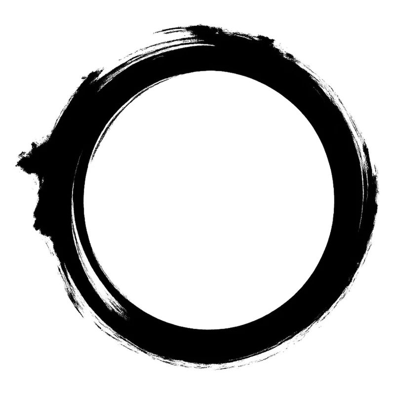 Black Hole Universe Silhouette Minimal Physics