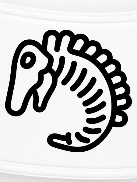 fossil