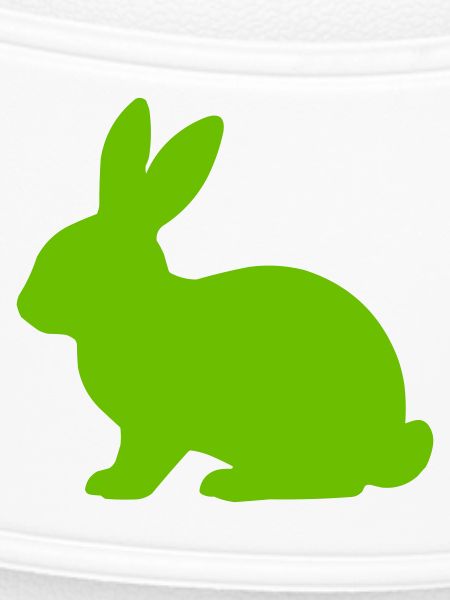 Bright Bunny Silhouette