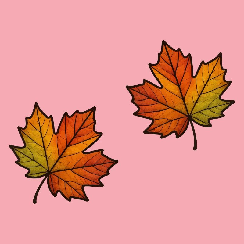 Leaf Autumn Maple Leaf 2
