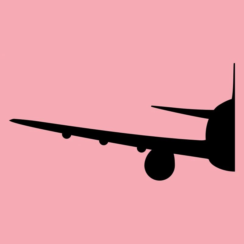 Half half split front front airplane fly pilot mac