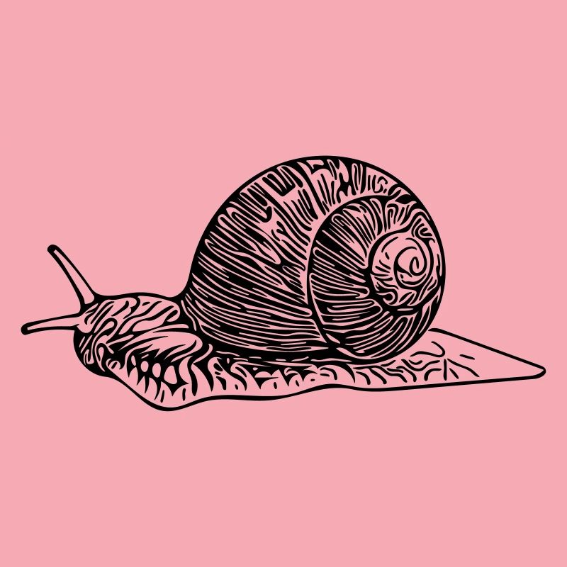 slug