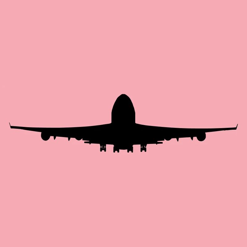 Flugzeug