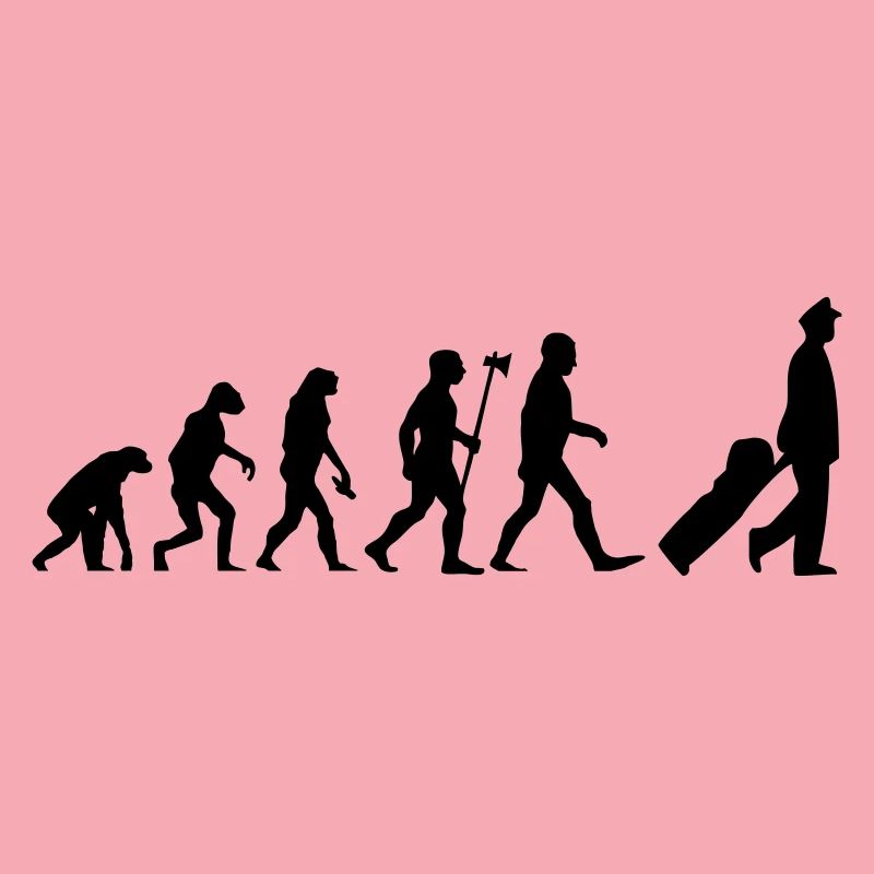 evolution pilot Flugzeug Pilot Flieger