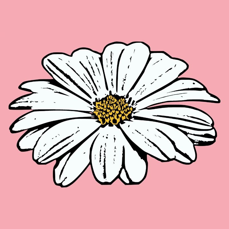 Fleur Blanche Fleurs Blanches Fleurs Blanches Fleurs Blanches