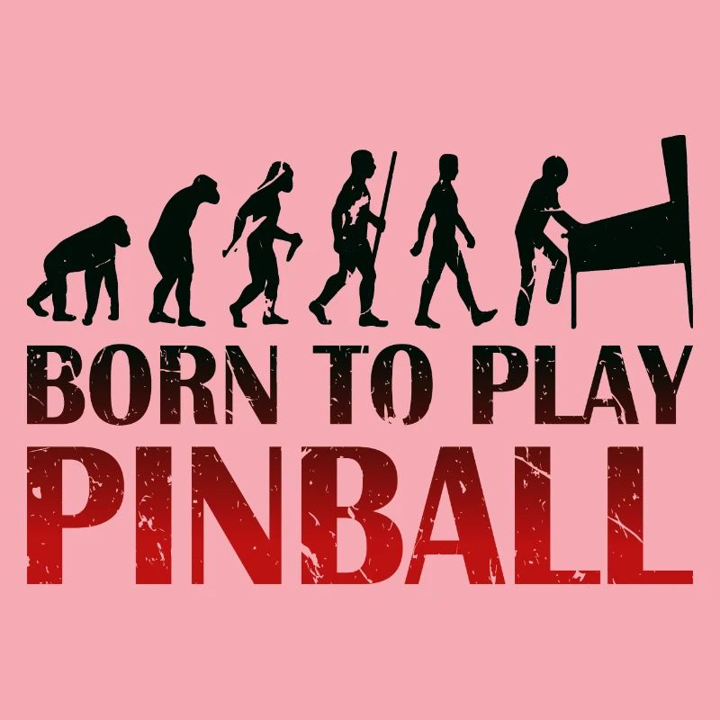 Born to play Pinball - Flipperautomat Evolution