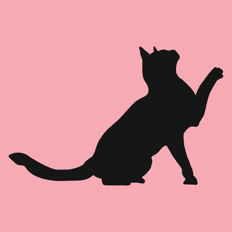 chat chat chat mignon animaux de compagnie bébé chat