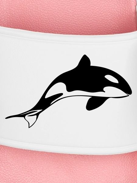 Orca