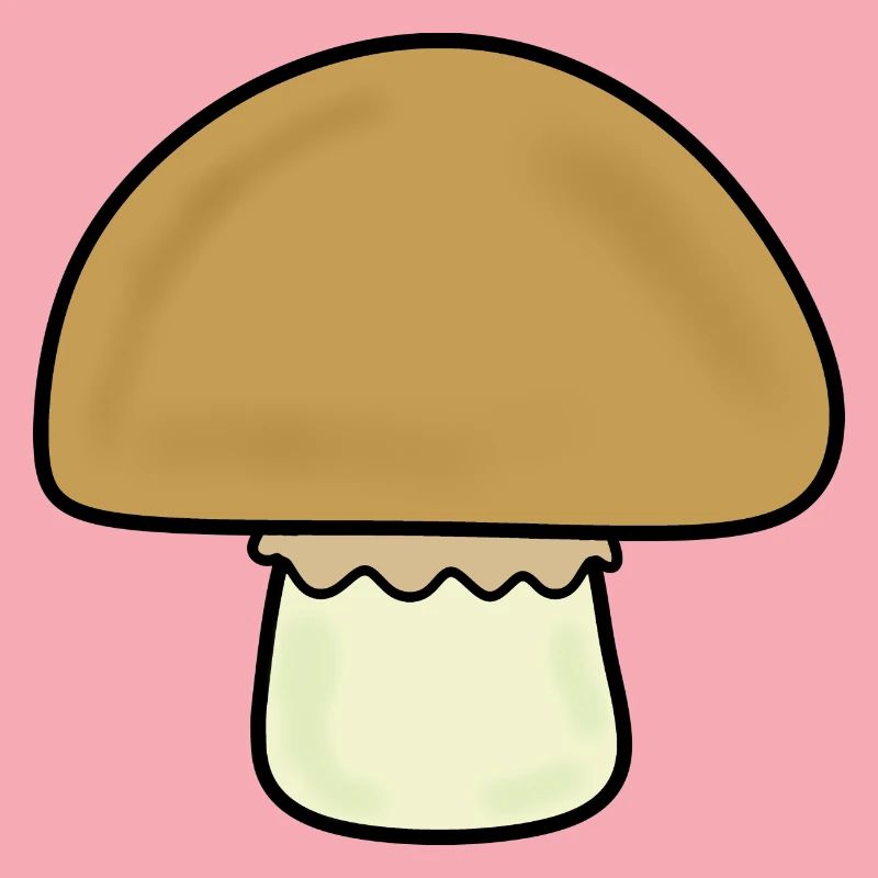 Champignon, champignons