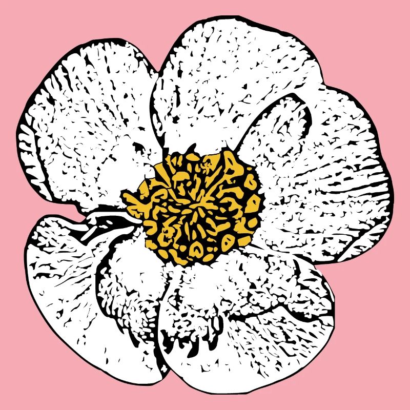 Blume weiß weiße Blumen Geschenk Muttertag Mutter