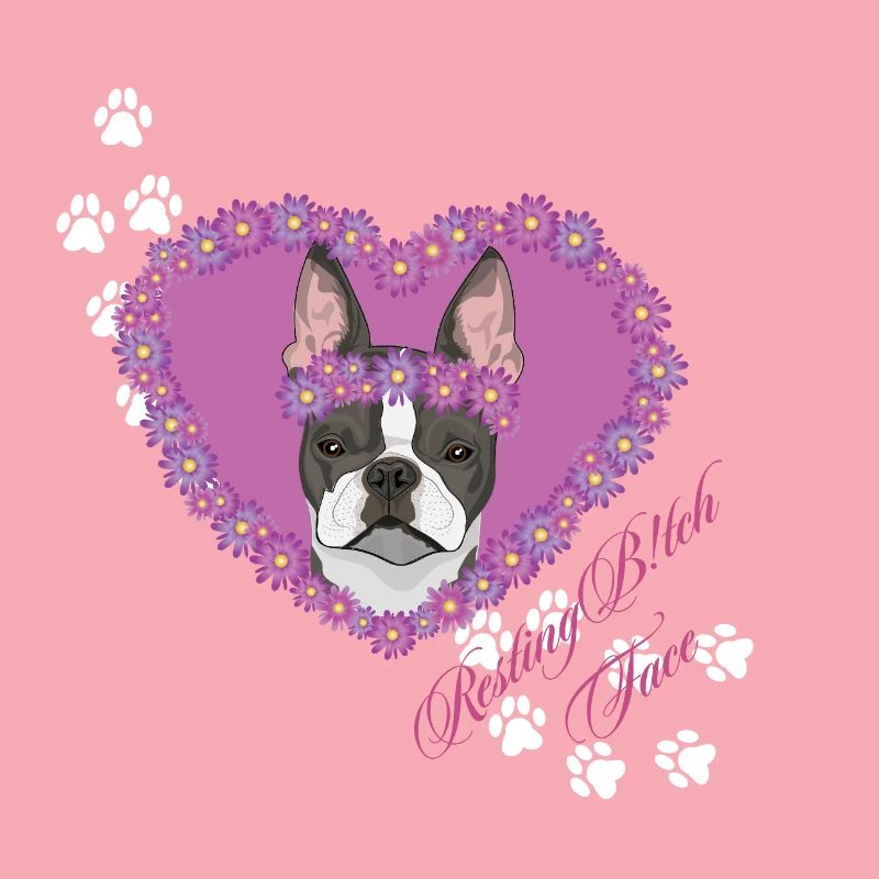 Ruhende B!tch Face Boston Terrier