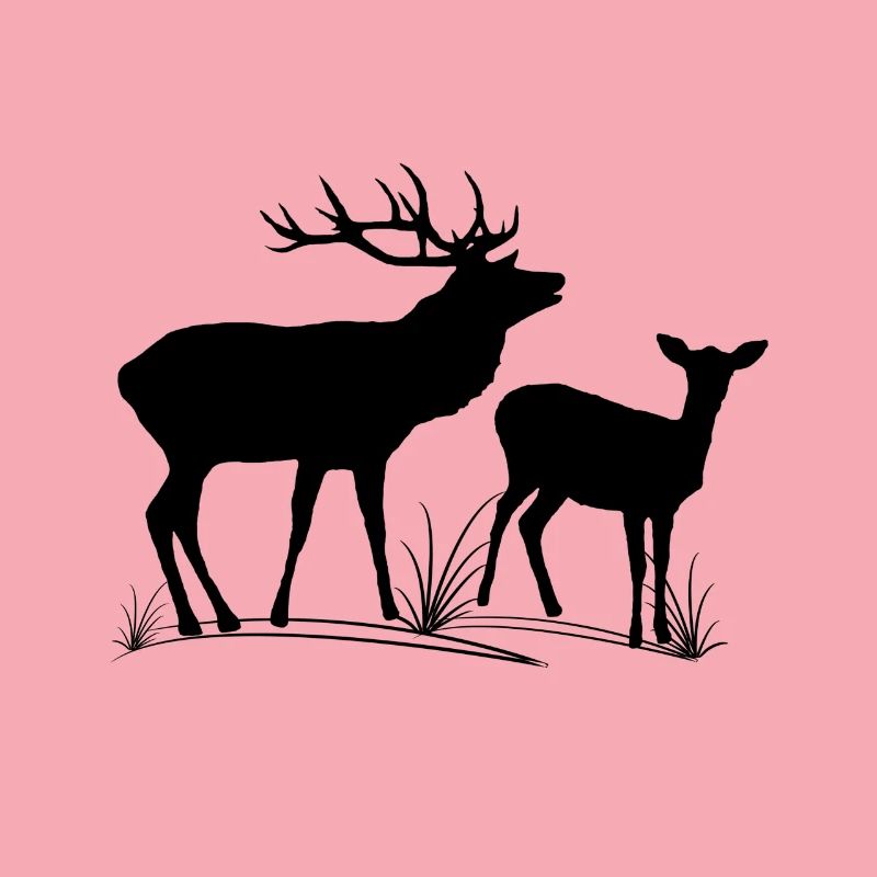 Deer, roe deer, fallow deer, forest, animals, deer