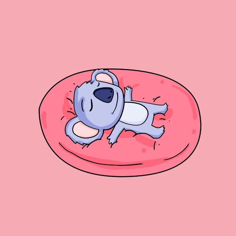 Koala bear