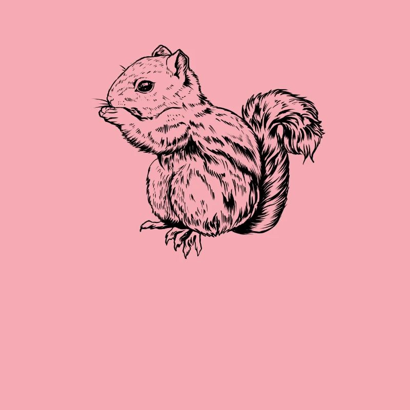 Dessin d’un écureuil rayé