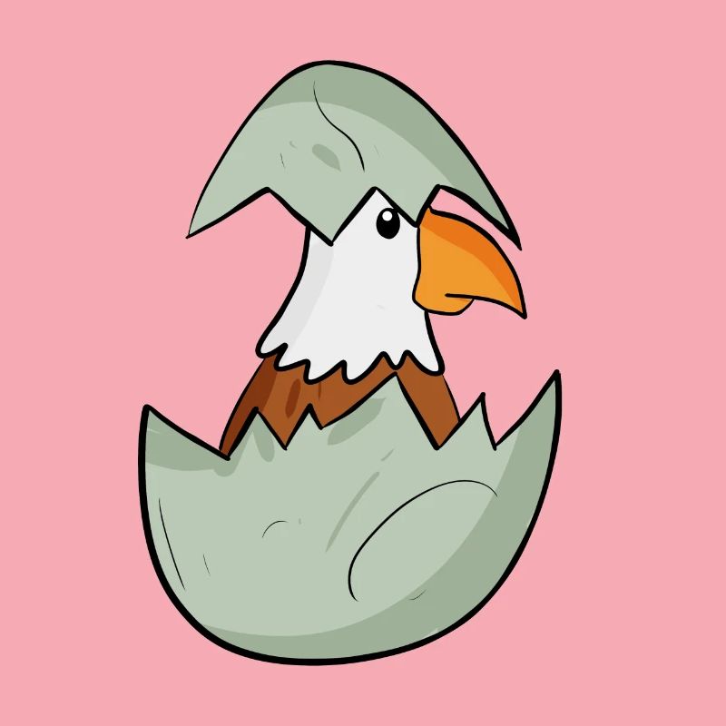 Bébé Aigle