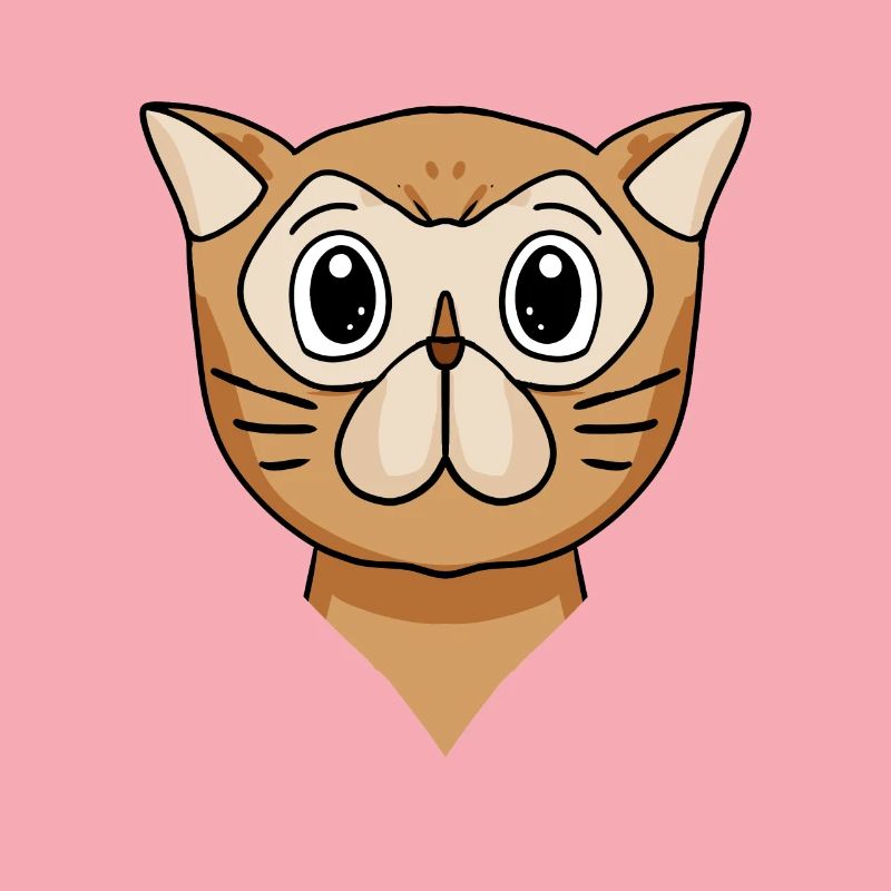 Chat persan Chat Race Chat