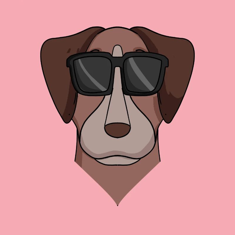 Pointer Hund Hunderasse