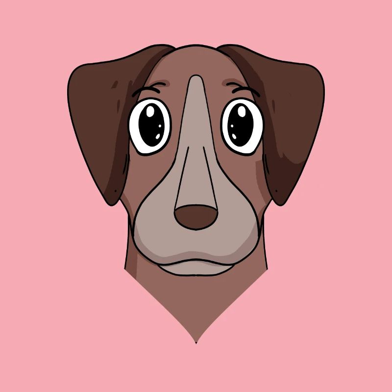 Pointer Hund Hunderasse