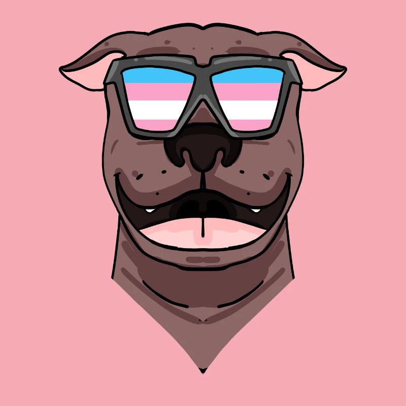 American Pit Bull Terrier