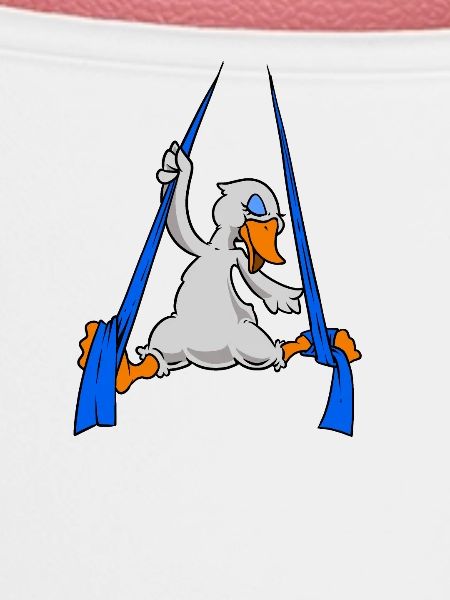 Aerial Silk Schwan