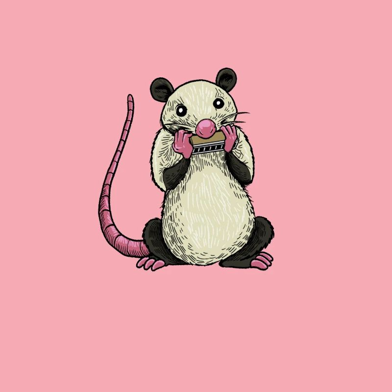 L’opossum joue de l’harmonica