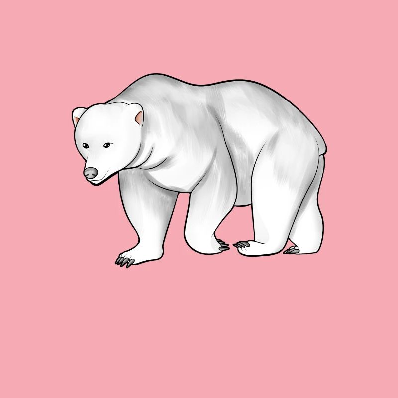 Zeichnung eines Eisbär
