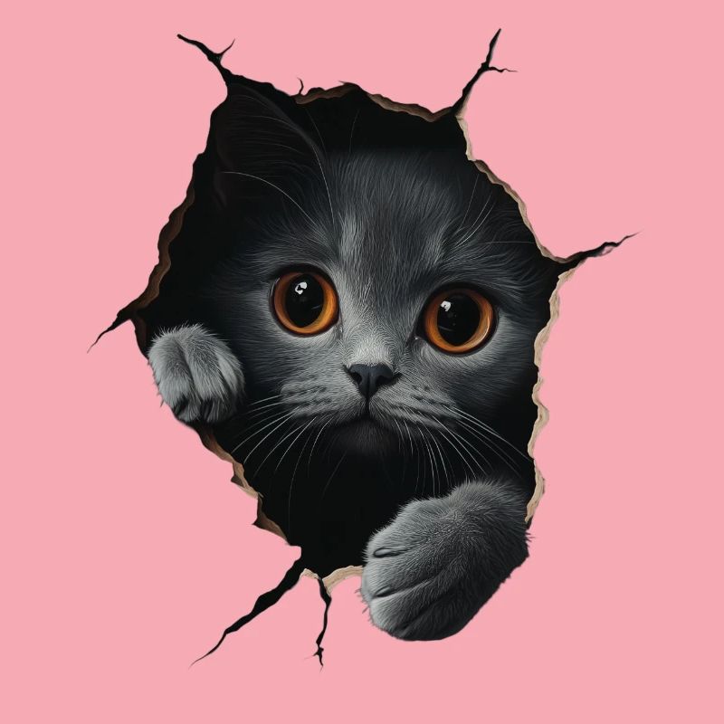 Drôle de chats Propriétaire de chat Chat mignon Chat de compagnie