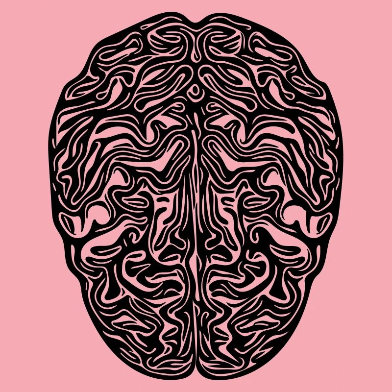 Brain - Anatomical Vector