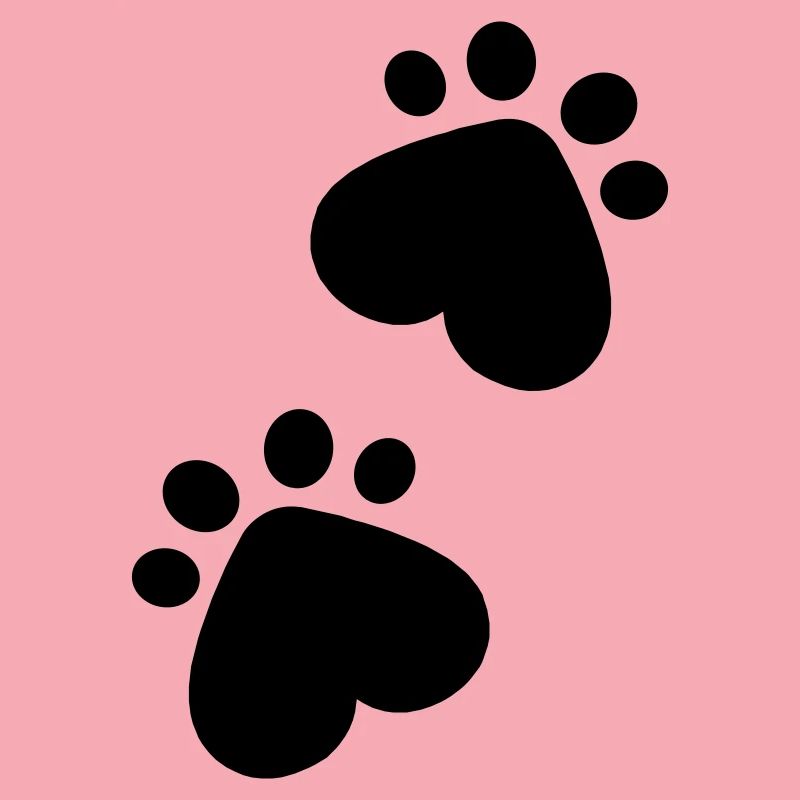 Paws